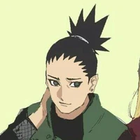 Shikadai (TL)