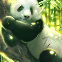 mẹ của gấu trúc cuti🐼