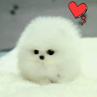 mẹ của tiêu tiêu👻👻