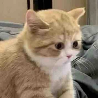 Cô giáo phụ trách