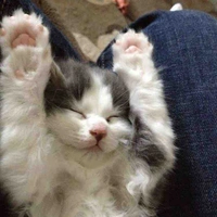 Yên Hoàng Song Tử 