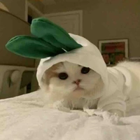 Hoàng Phúc Xử Nữ 