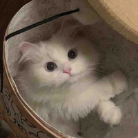 Vi Hy Cự Giải 