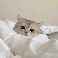 Lạc Ngôn Bảo Bình 