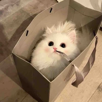 Phùng Ngọc Song Ngư 