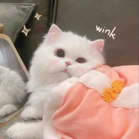 Kim Hoàng Nhân Mã 