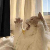  Phương Dương Thiên Yết 