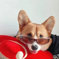 BoBo