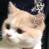??