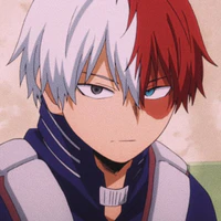 Todoroki Shoto