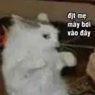 ( hết avt để đặt vô gòi)