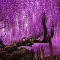 đa nhân vật