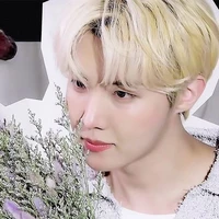 Jung HoSeok [ Hobi ]