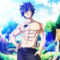 Gray Fullbuster