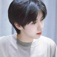 Hạ Tuấn Lâm 