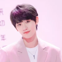 Đinh Trình Hâm
