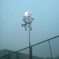 cả nhóm xuyên ko + độc giả
