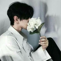 Hàn Gia Huy