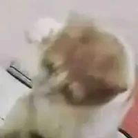 TG + hệ thống