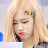 Park chaeyong [ chaeng]