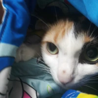 Bà T/g cute
