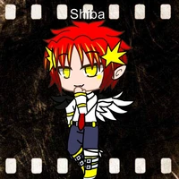 Shiba
