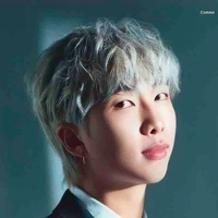 Kim Namjoon 