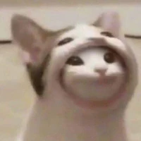 T/g : Kiêm ng phỏng vấn❅