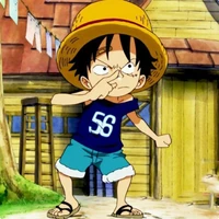 monkey D luffy (7t)