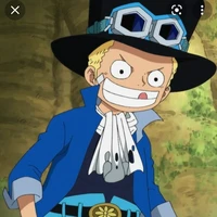 sabo (10t)