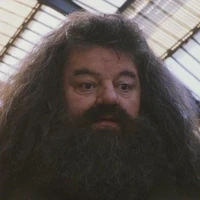 Rubeus Hagrid