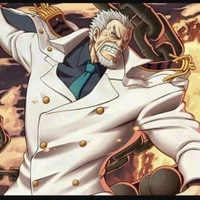 Monkey D garp