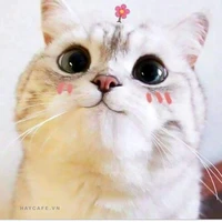 Tác Giả