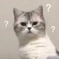 ???