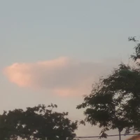 kujira