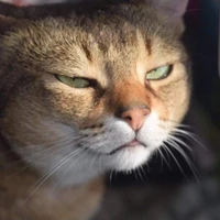 Má Mi của tụi con đây 💖