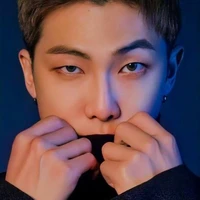 NamJoon (김남준 )