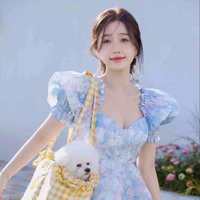 Sơ Tiểu Niệm-Lưu Ngọc Tâm Đoan