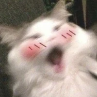 Uri[][][]✨