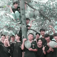 cả team