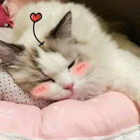 tôi