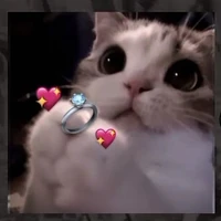 con người có tính cách thất thường