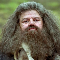 Rubeus Hagrid