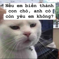 Tác giả thỉu năng