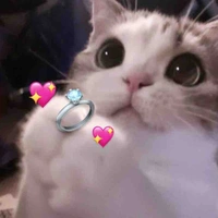 Đố bít tui là ai