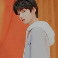 Lưu Diệu Văn