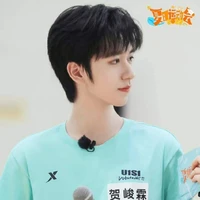 Hạ Tuấn Lâm