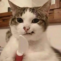 Tác giả