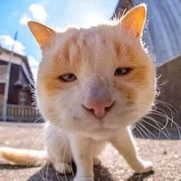 con tg bị xàm náck