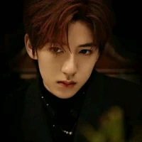 Hạ Tuấn Lâm [ anh ]